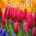Sábado