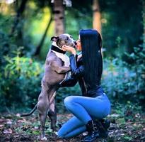 پوستر ♥I love pitbulls♥