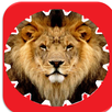 Fans CD Olimpia APK
