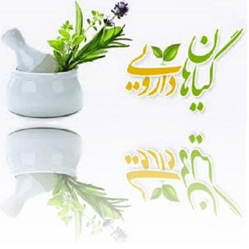 گیاهان دارویی و طب سنتی