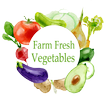 Farm Fresh Vegetables Vadodara