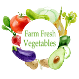 Farm Fresh Vegetables Vadodara icon