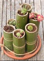 Bamboo Craft Ideas স্ক্রিনশট 1