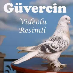 Descargar APK de Güvercin