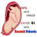 Hafta Hafta Gebelik  Hamilelik APK