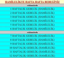 Hafta Hafta Gebelik  Hamilelik تصوير الشاشة 1
