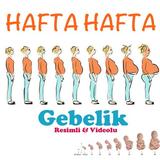 Hafta Hafta Gebelik (Detay) icône