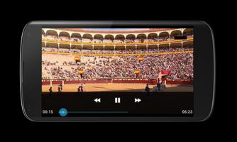 Feria de Fallas تصوير الشاشة 1