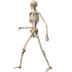 Skeleton Ragdoll, Walking dead APK