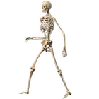 آیکون‌ Skeleton Ragdoll, Walking dead