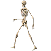 Skeleton Ragdoll, Walking dead icon