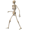 Skeleton Ragdoll, Walking dead