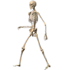 Skeleton Ragdoll, Walking dead-icoon