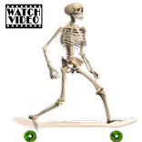 Skeleton Ragdoll, Skater