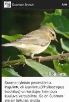 Suomen Linnut 스크린샷 1