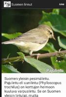 Suomen Linnut screenshot 1