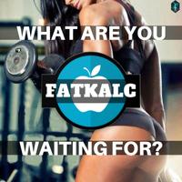 FatKalc 스크린샷 3