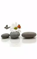 Eid Mubarak Said APK download