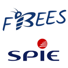 SPIE CityNetworks Fibees icône