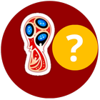 FIFA World Cup 2018 Predictions icon