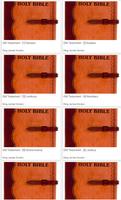 Bible Holy Bible Affiche