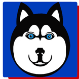 Tedy Loyalty Partner