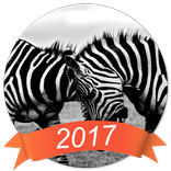 B&W Photo Filter Editor