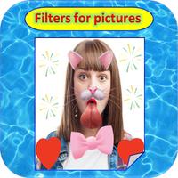 Poster filters for picture