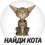 Найди Кота