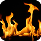 Fire Background Video Wallpap icône
