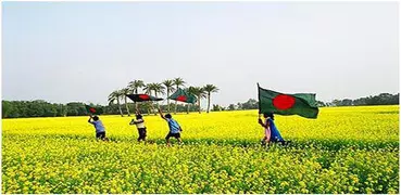 দেশাত্মবোধক গানের ডায়েরি