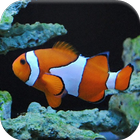 Tropical Fish Puzzle Games আইকন