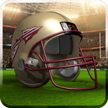 Florida State Seminoles LWP