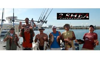 Fish Dive Tampa 2Shea Charters الملصق