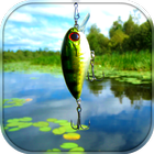 All about fishing icon