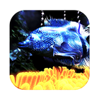 3D Fish Live Wallpaper icono