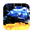 3D Fish Live Wallpaper icon