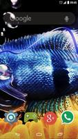 3D Fish Live Wallpaper 海报