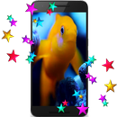 Fish Live Video Wallpaper APK