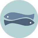 PhotoWidget APK