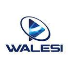 Walesi আইকন