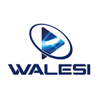 Walesi ícone