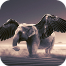 Flying Elephants Live Wallpap APK