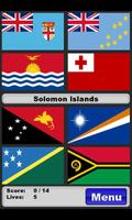 World Flags Affiche