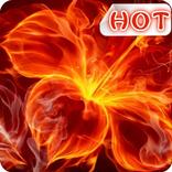 flame flower blaze theme