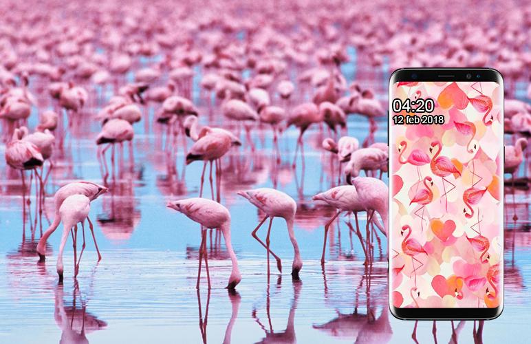 Pink Flamingo Wallpaper Hd For Android Apk Download