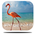 3D Flamingo Live Wallpaper आइकन