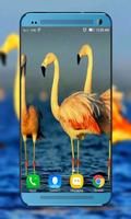 Flamingo HD Video Wallpaper 截圖 1