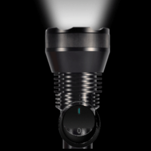 Torch Light Pro