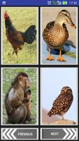 Animals To Know 截图 1